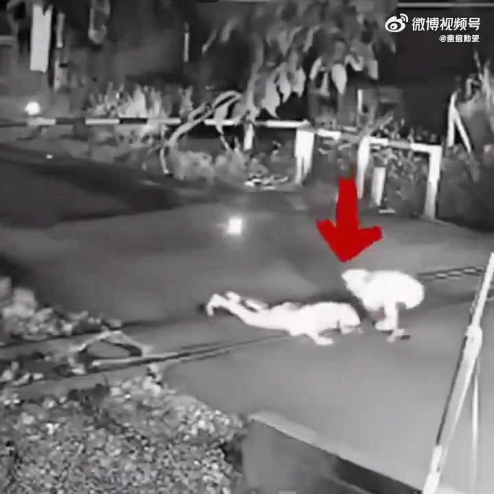 这真是救命之恩