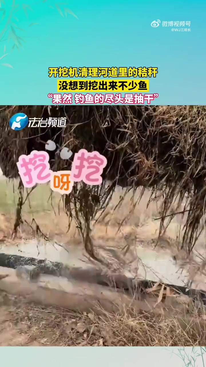 开挖机清河道秸秆，意外挖出鱼，钓鱼尽头是抽干