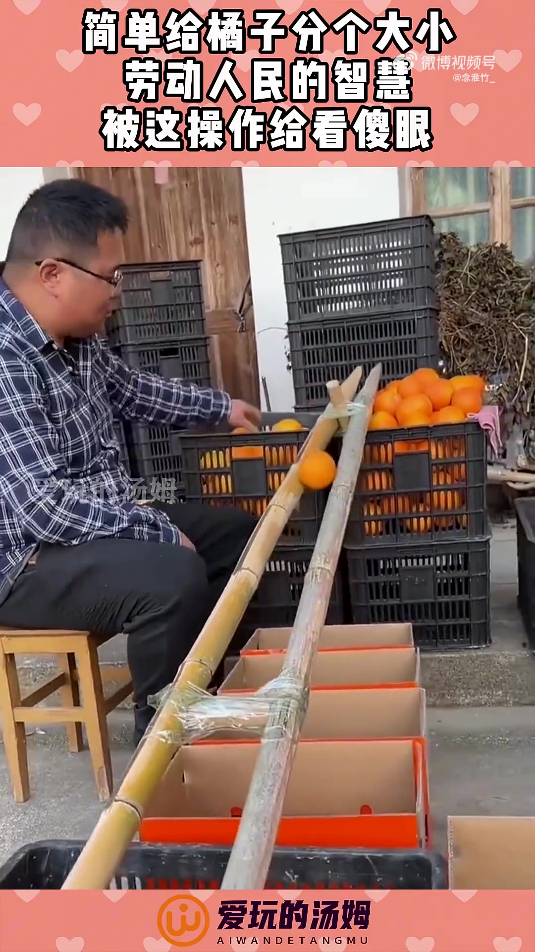 简单给橘子分大小，劳动人民智慧操作让人看傻眼！