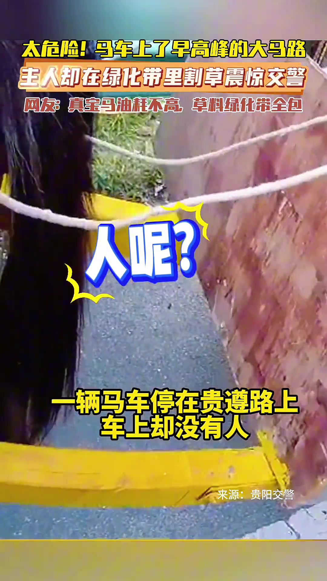大爷驾马车上了车行道，要从贵阳回重庆