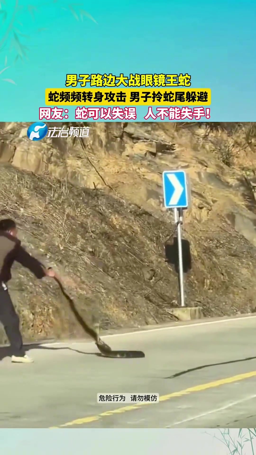 蛇可以失误，帅哥你不能失手啊