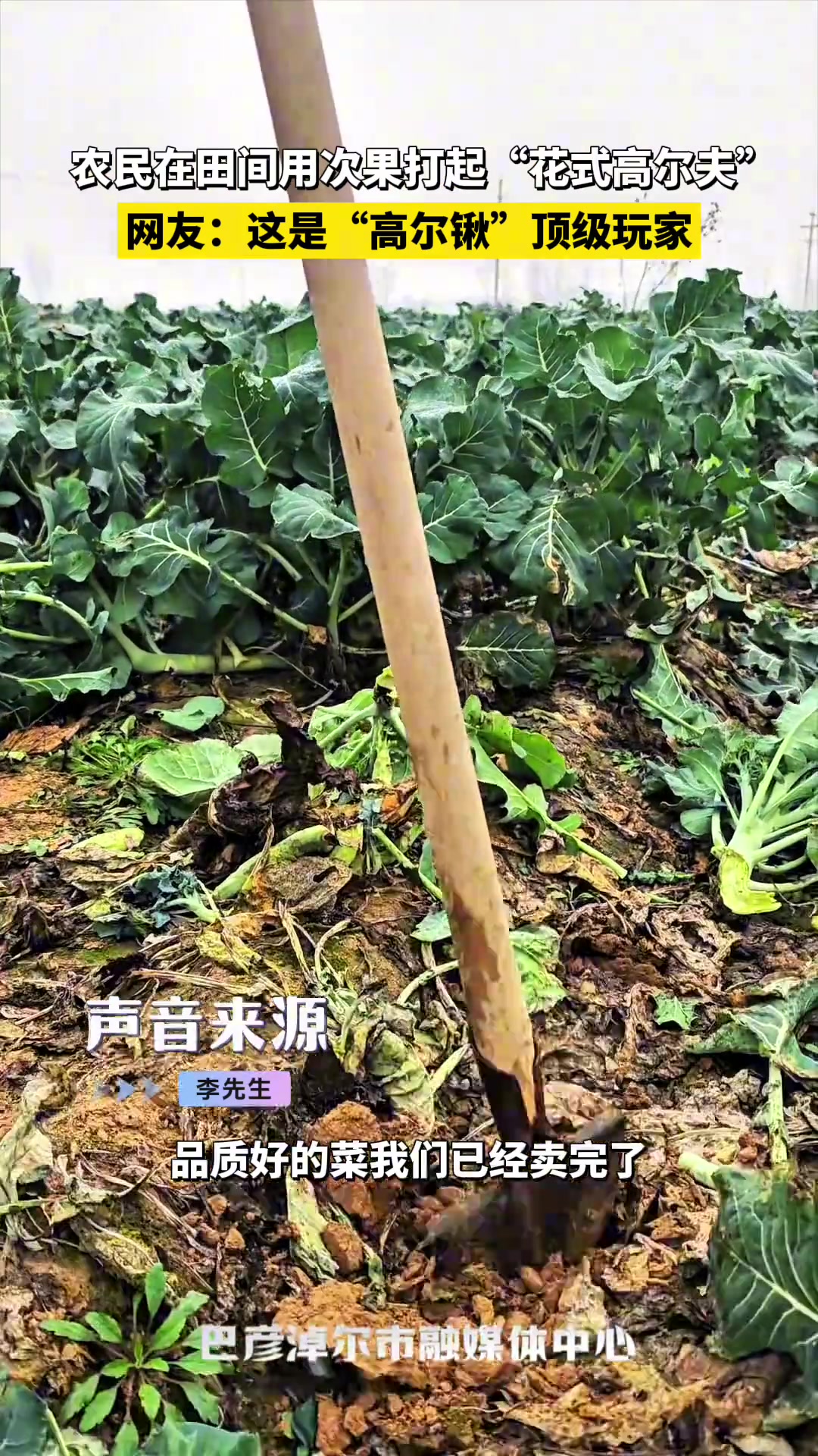 农民在田间用次果打起“花式高尔夫”