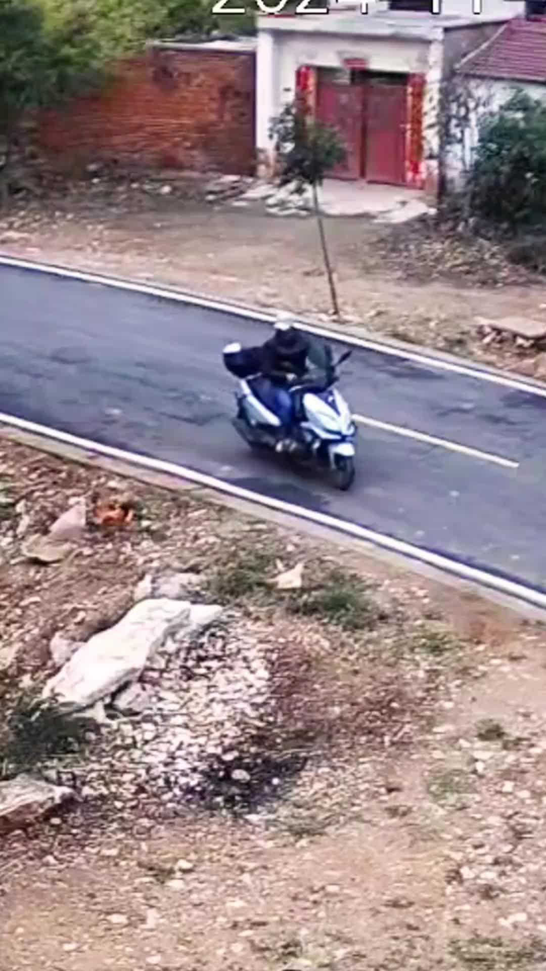 太可恶了吧！男子四处流窜用毒针射杀鸡和狗！