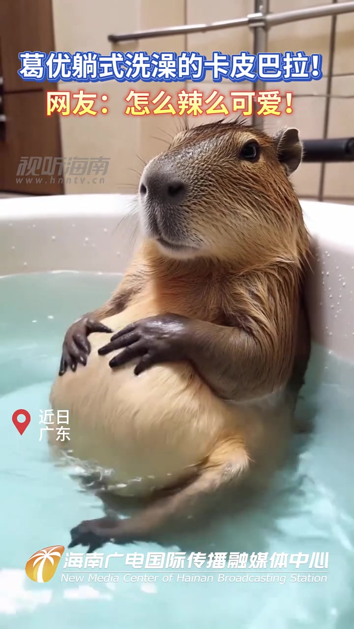 葛优躺式洗澡的卡皮巴拉！网友：怎么辣么可爱！