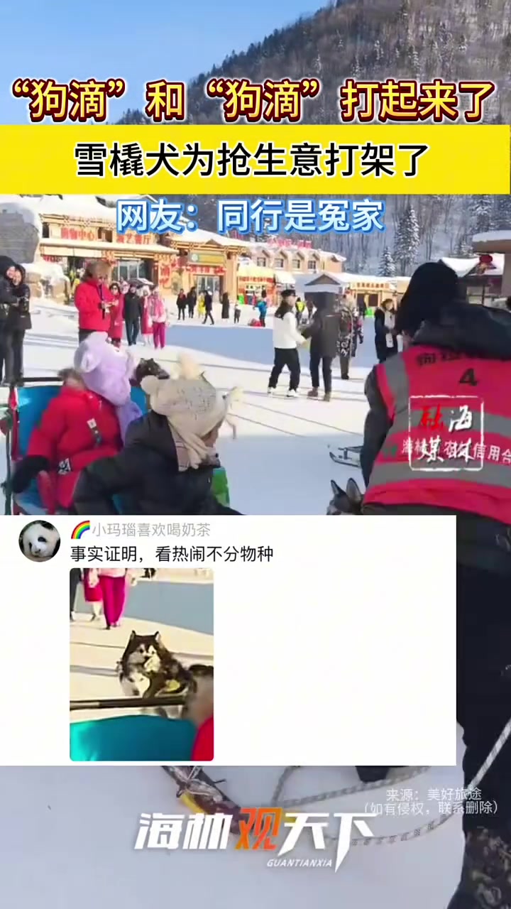 “狗滴”和“狗滴”打起来啦！