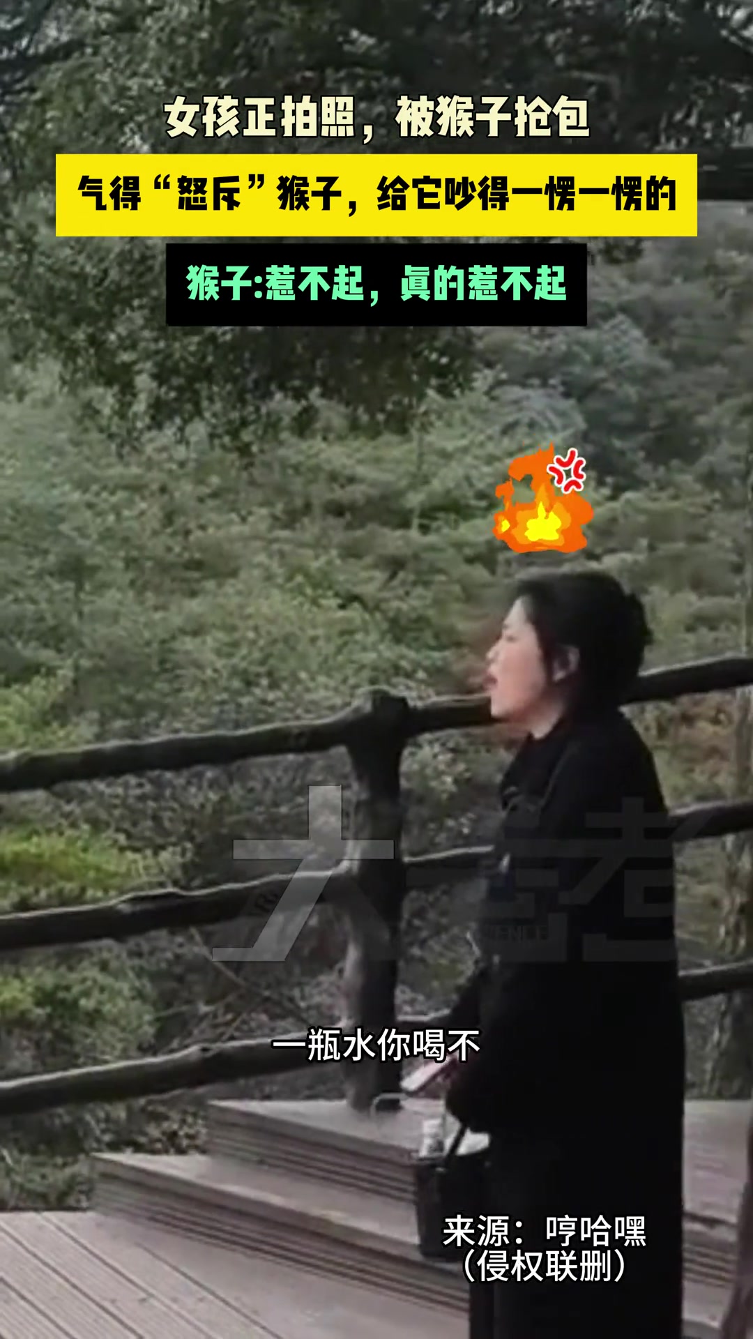 女孩正拍照被猴子抢包气得“怒斥”猴子给它吵得一愣一愣的
