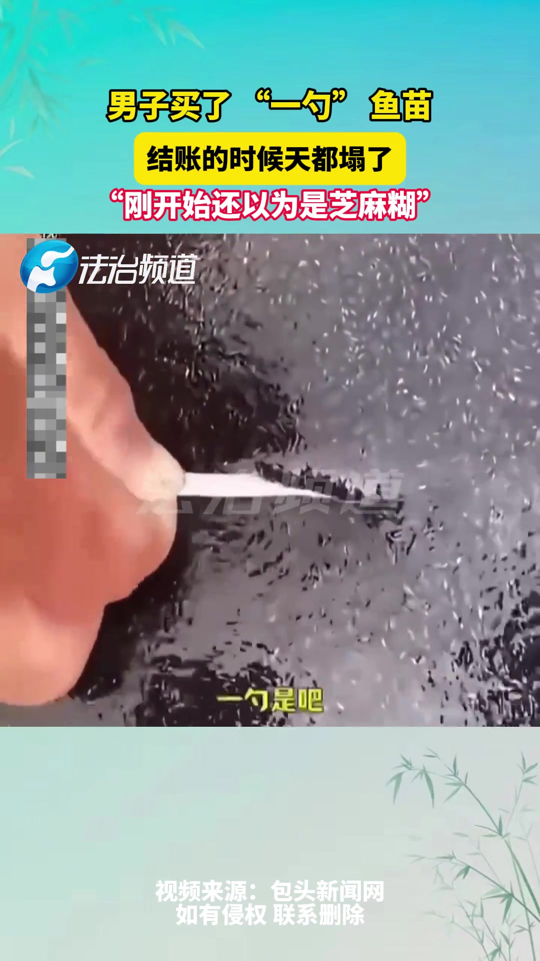 男子买了“一勺”鱼苗，“刚开始还以为是芝麻糊”