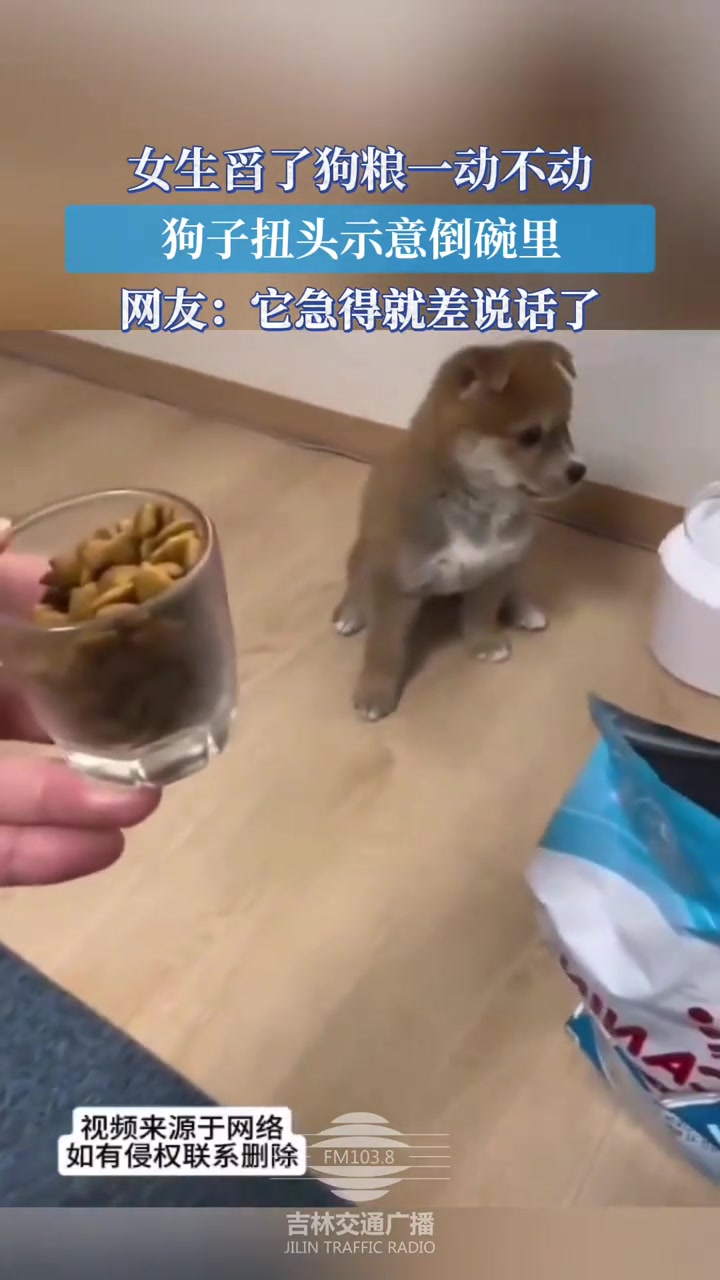 网友它急得就差说话了