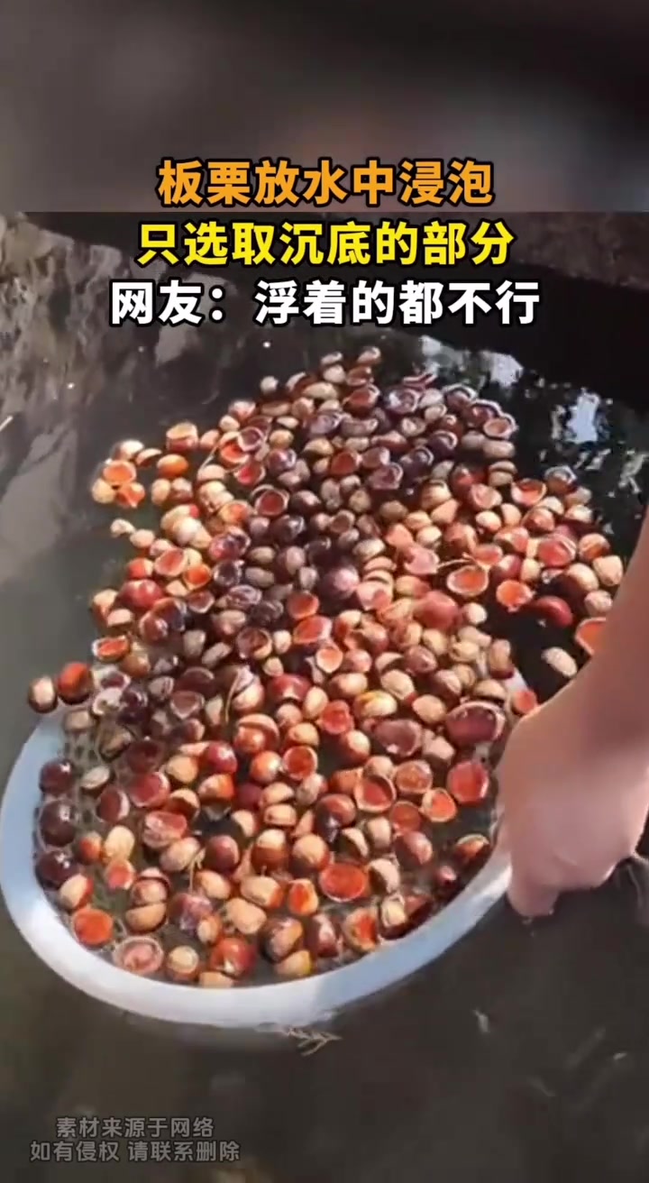 板栗放水中浸泡，只选取沉底的部分
