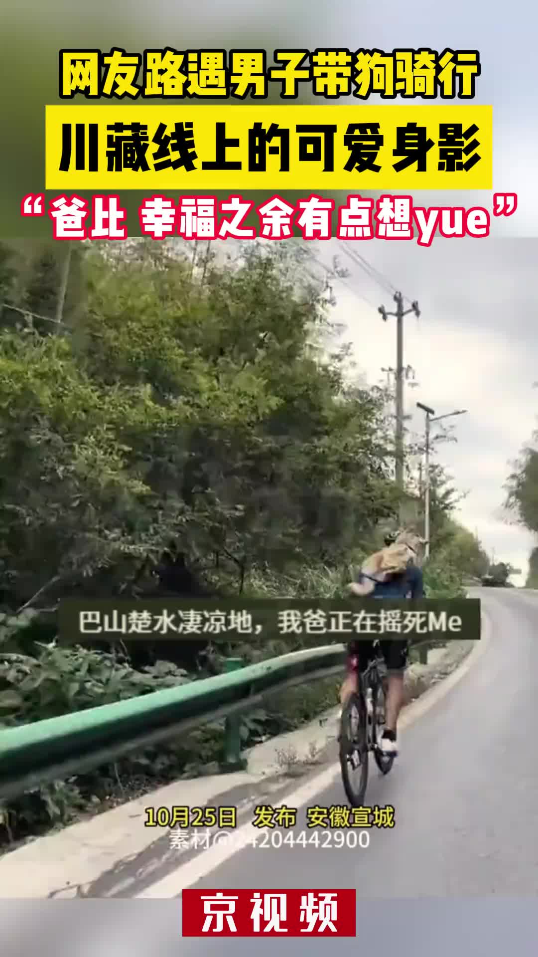 你一句青春没有售价，狗子被摇散了架！