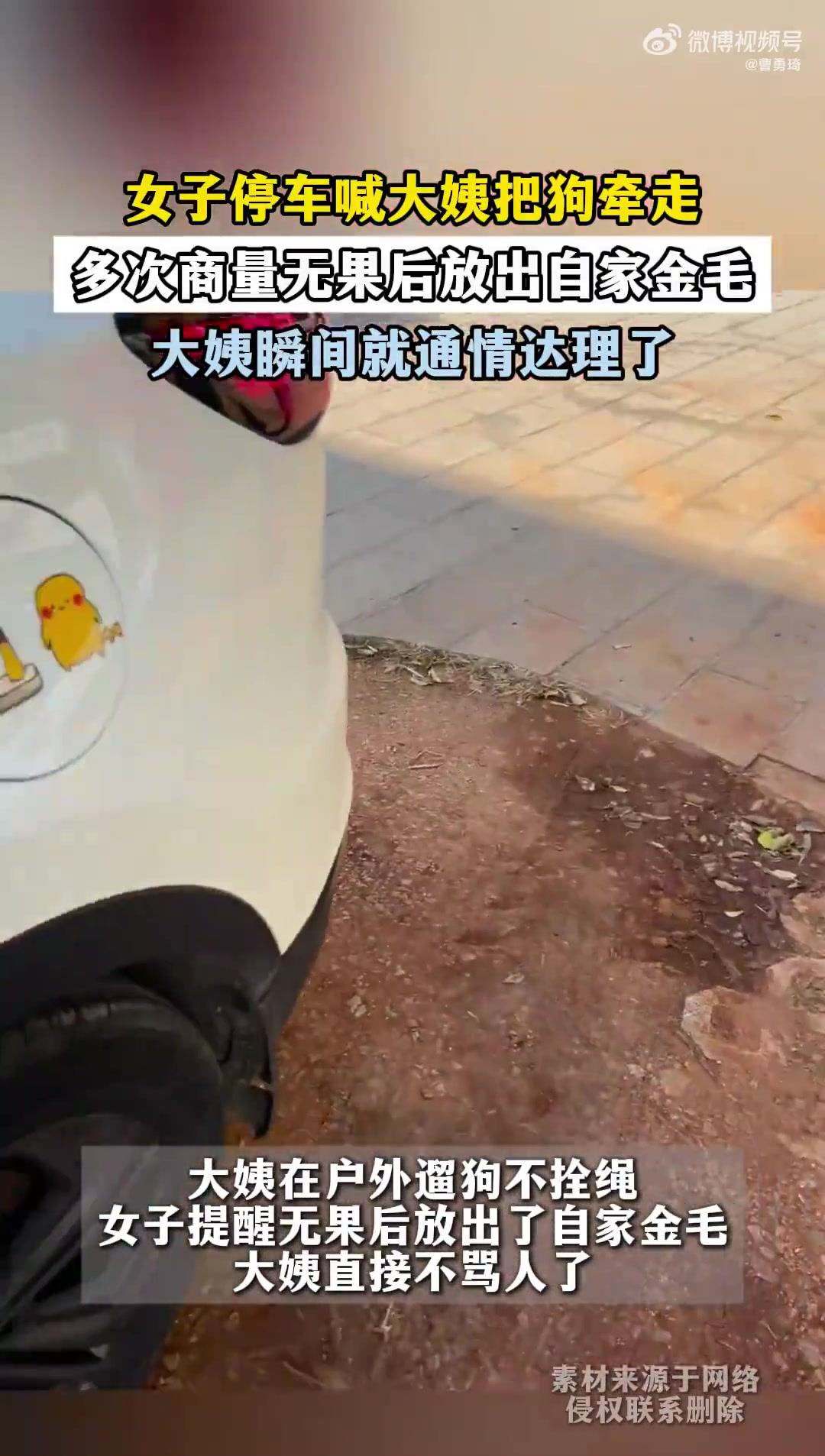 女子停车喊大姨把狗牵走，多次商量无果后放出自家金毛