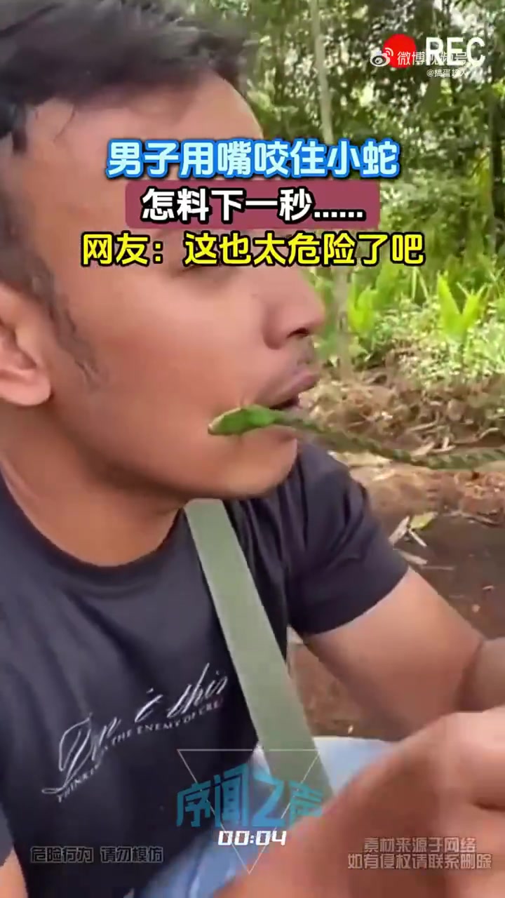 竹叶青男子用嘴咬住小蛇结果被反咬