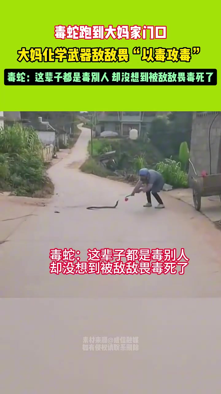 毒蛇跑到大妈家门口大妈化学武器敌敌畏以毒攻毒