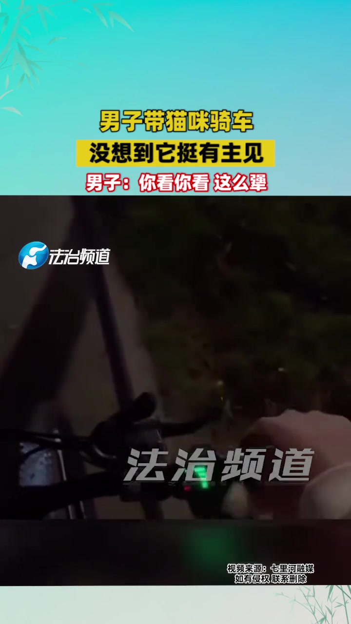 男子带猫咪骑车没想到它挺有主见男子：你看你看这么犟