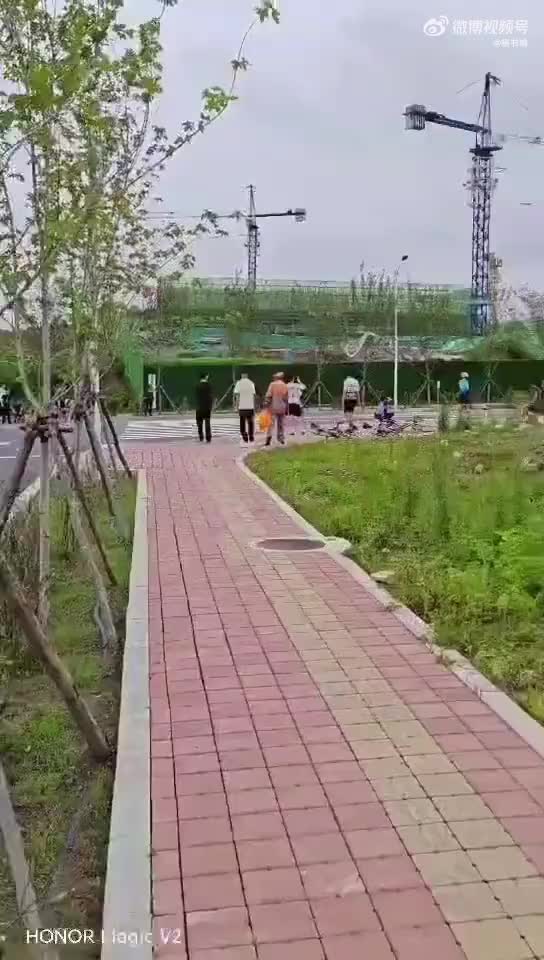这看着都疼啊！