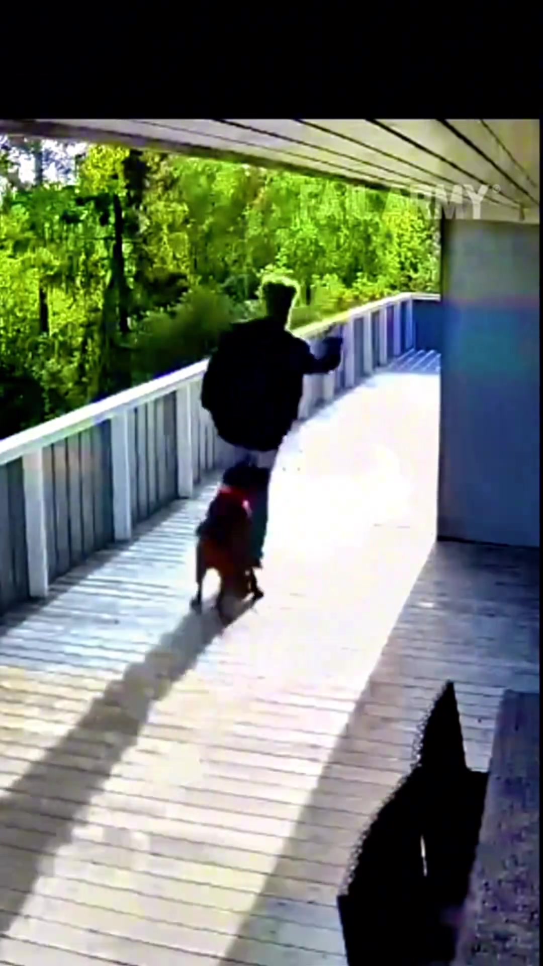 男子抢狗绳被撞倒