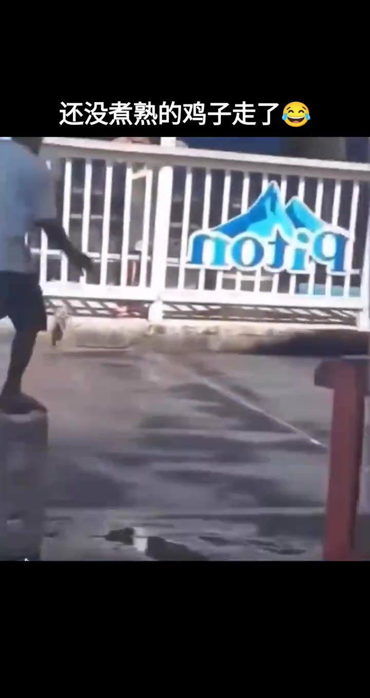 还没煮熟的鸡子飞了