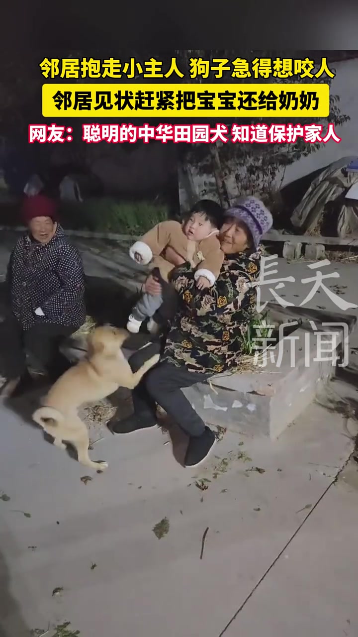 邻居抱走小主人狗子急得想咬人邻居见状赶紧把宝宝还给奶奶