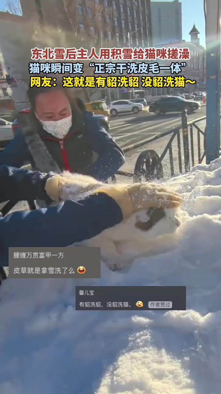 东北雪后主人用积雪给猫咪搓澡，猫咪瞬间变“正宗干洗皮毛一体”