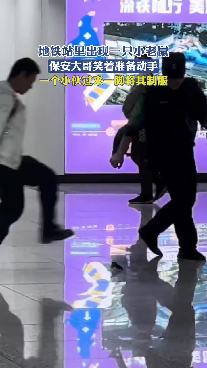 地铁站里出现一只小老鼠，保安大哥笑着准备动手小伙一脚将其制服