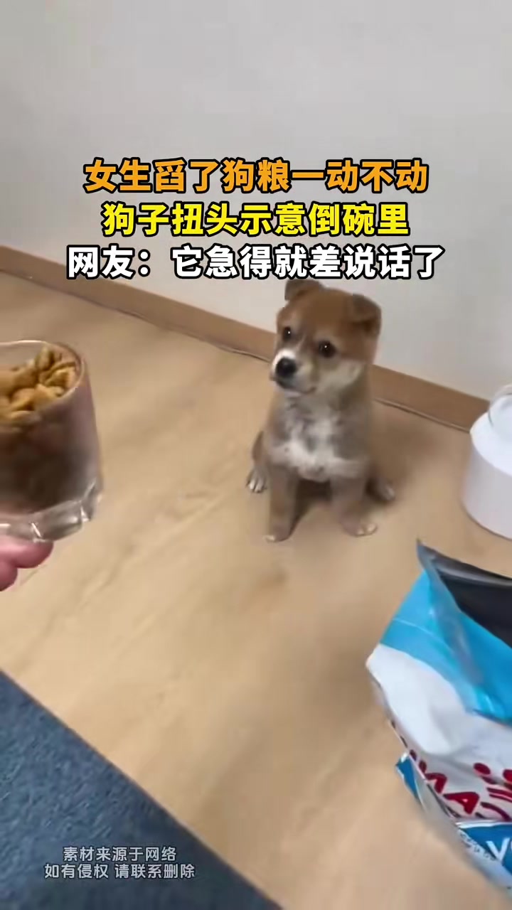 它急得差点会讲话了