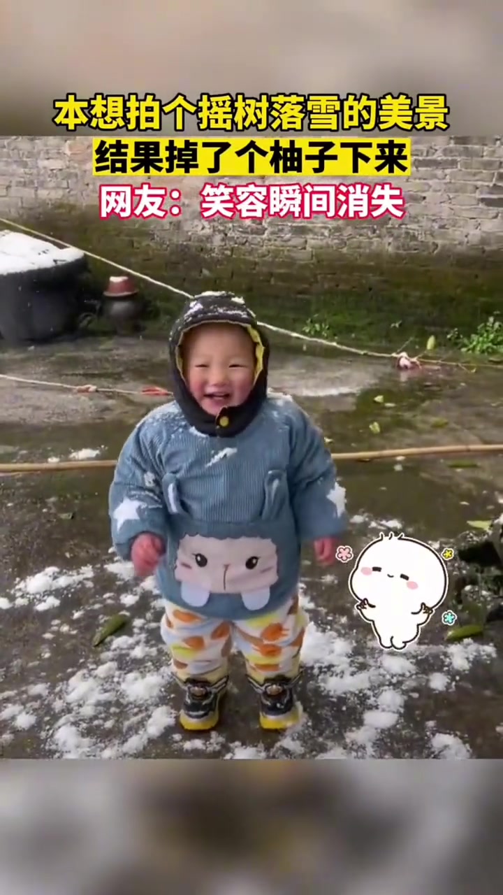 本想拍个摇树落雪的美景结果掉了个柚子下来