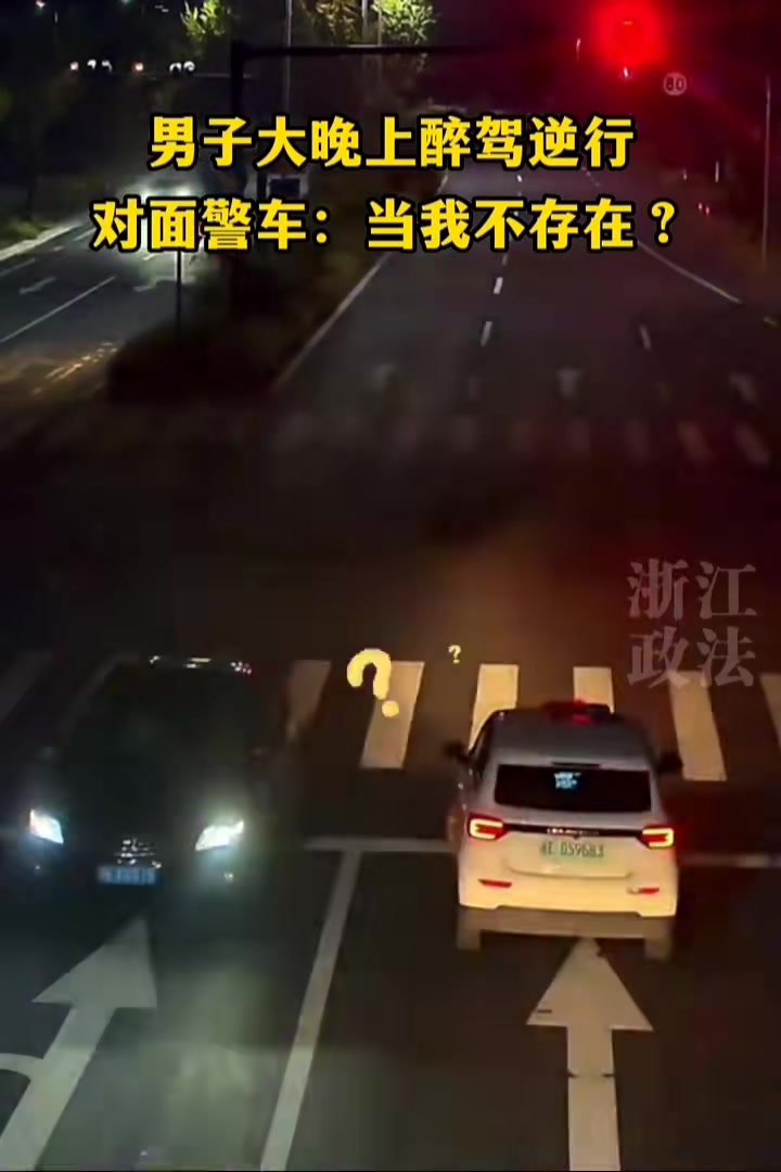 男子大晚上醉酒逆行