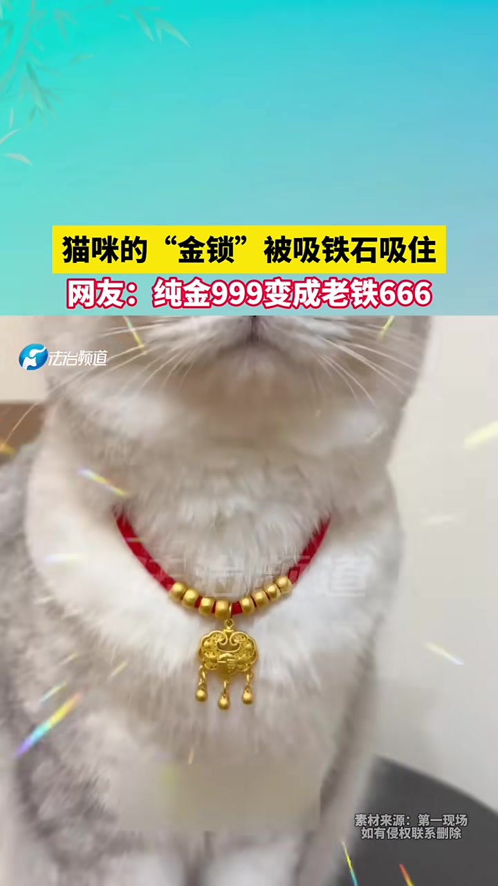 猫咪的“金锁”被吸铁石吸住