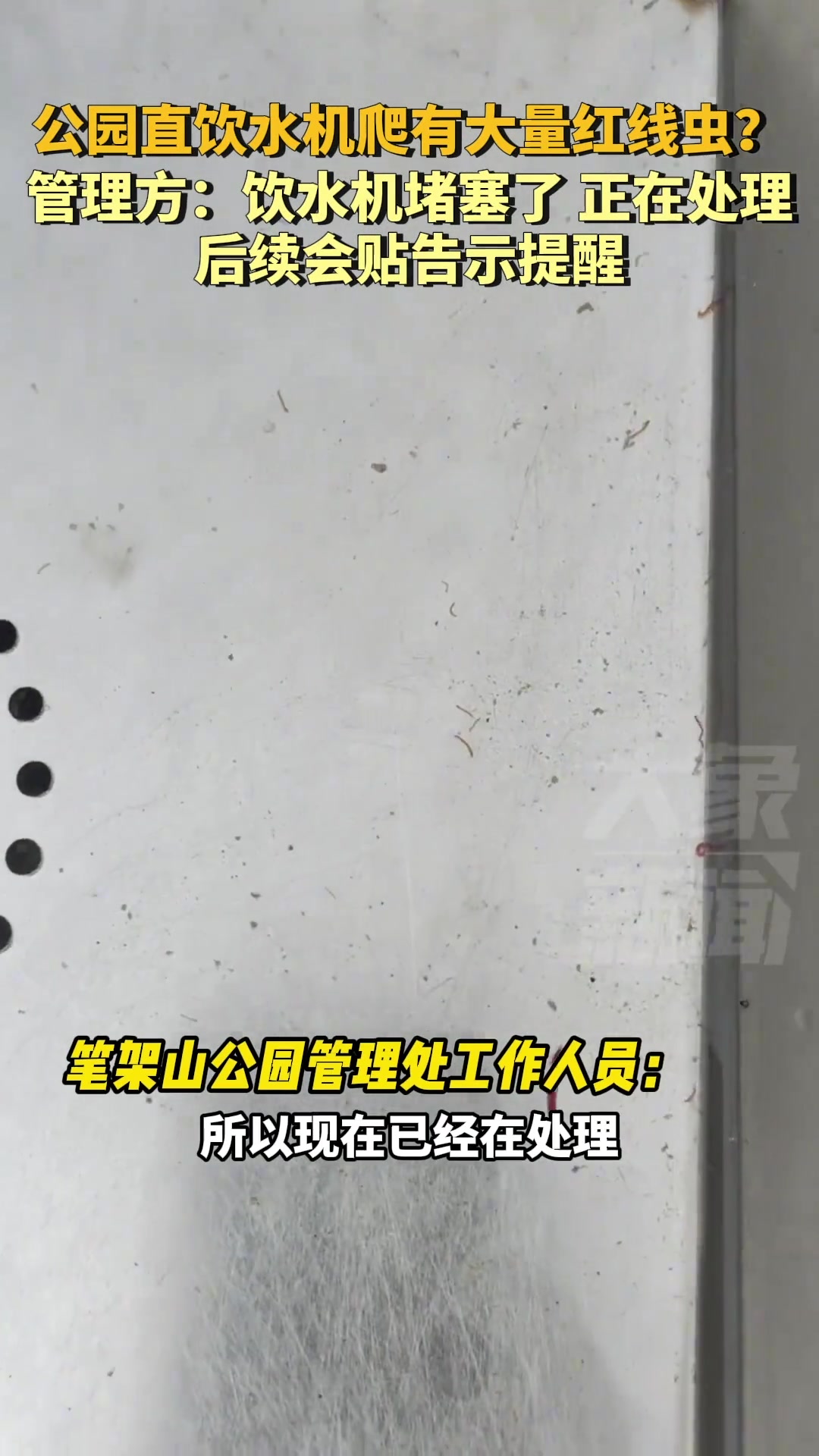 公园直饮水机爬有大量红线虫管理方：堵塞了正在处理