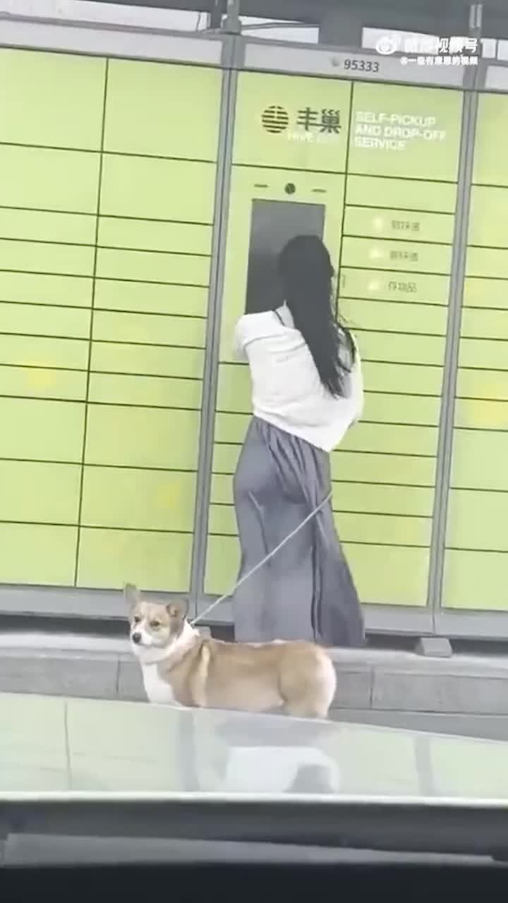 小姐姐让我爱上了刮风