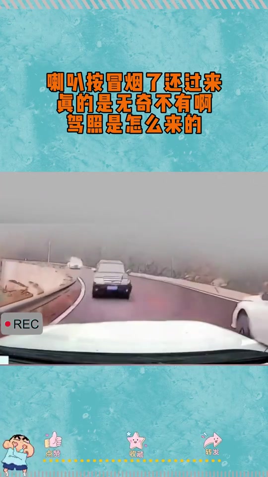 真的是无奇不有啊，驾照是怎么来的！！