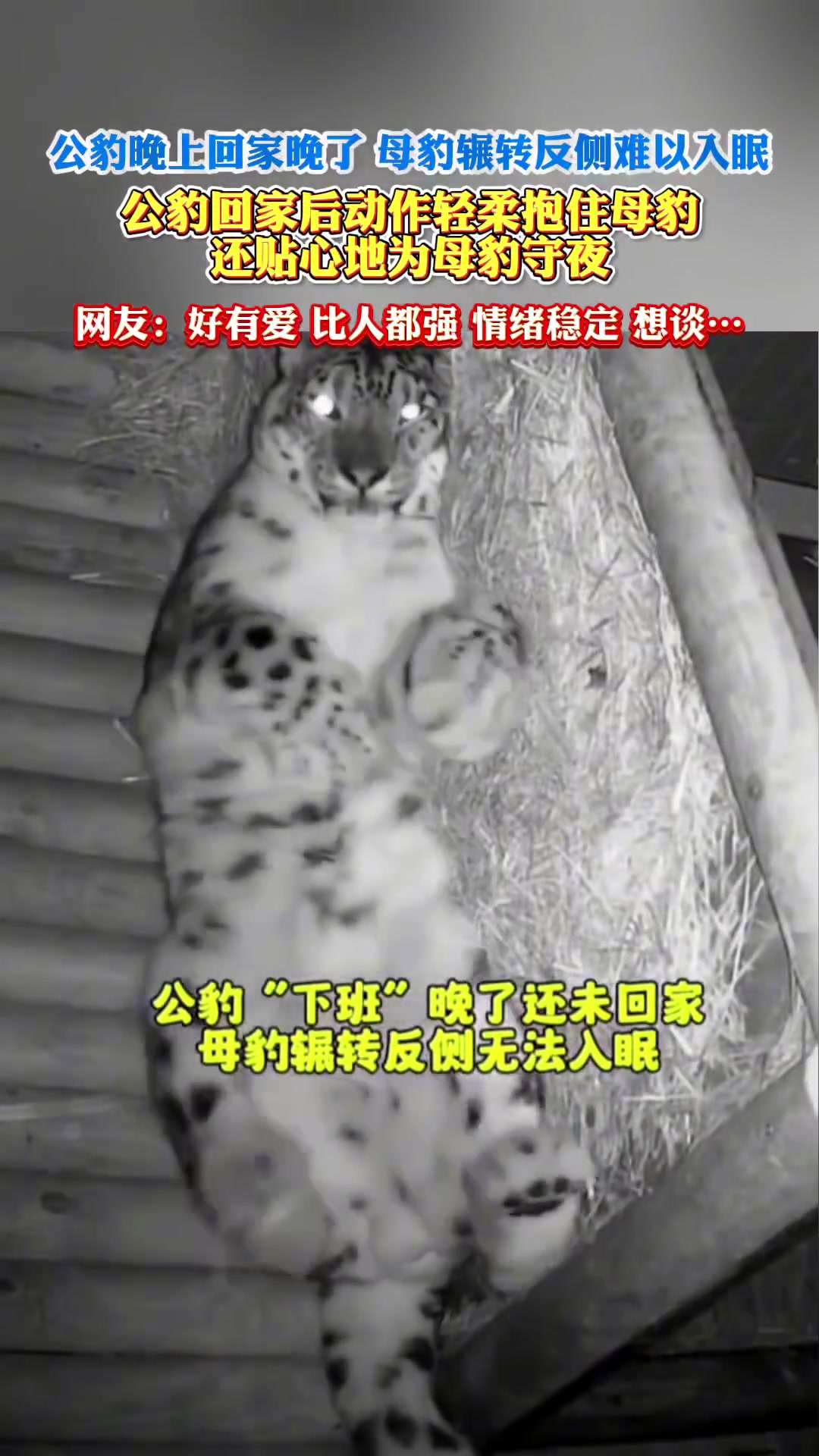 网友：好有爱，比人都强，情绪稳定，想谈