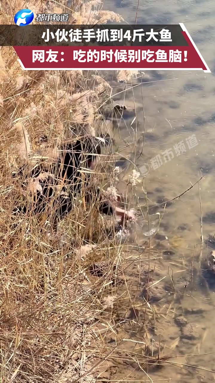 小伙徒手抓到4斤大魚，網友：吃的時候別吃魚腦！