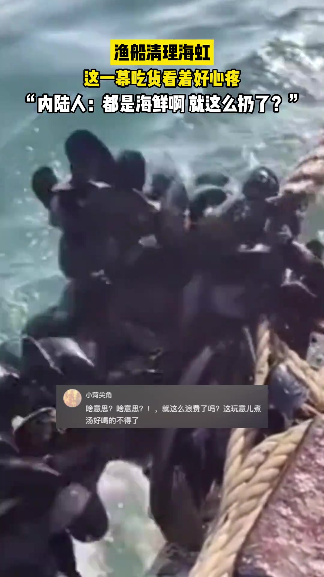 渔船清理海鲜，这一幕让内陆人大呼心疼！