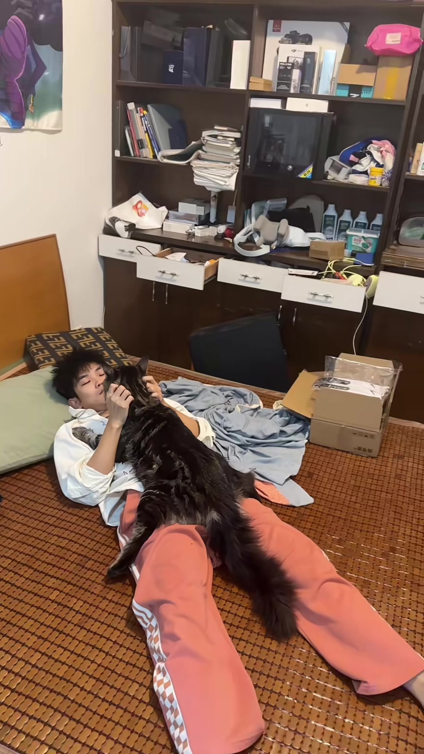 这猫性格真好，被拎着一动不动