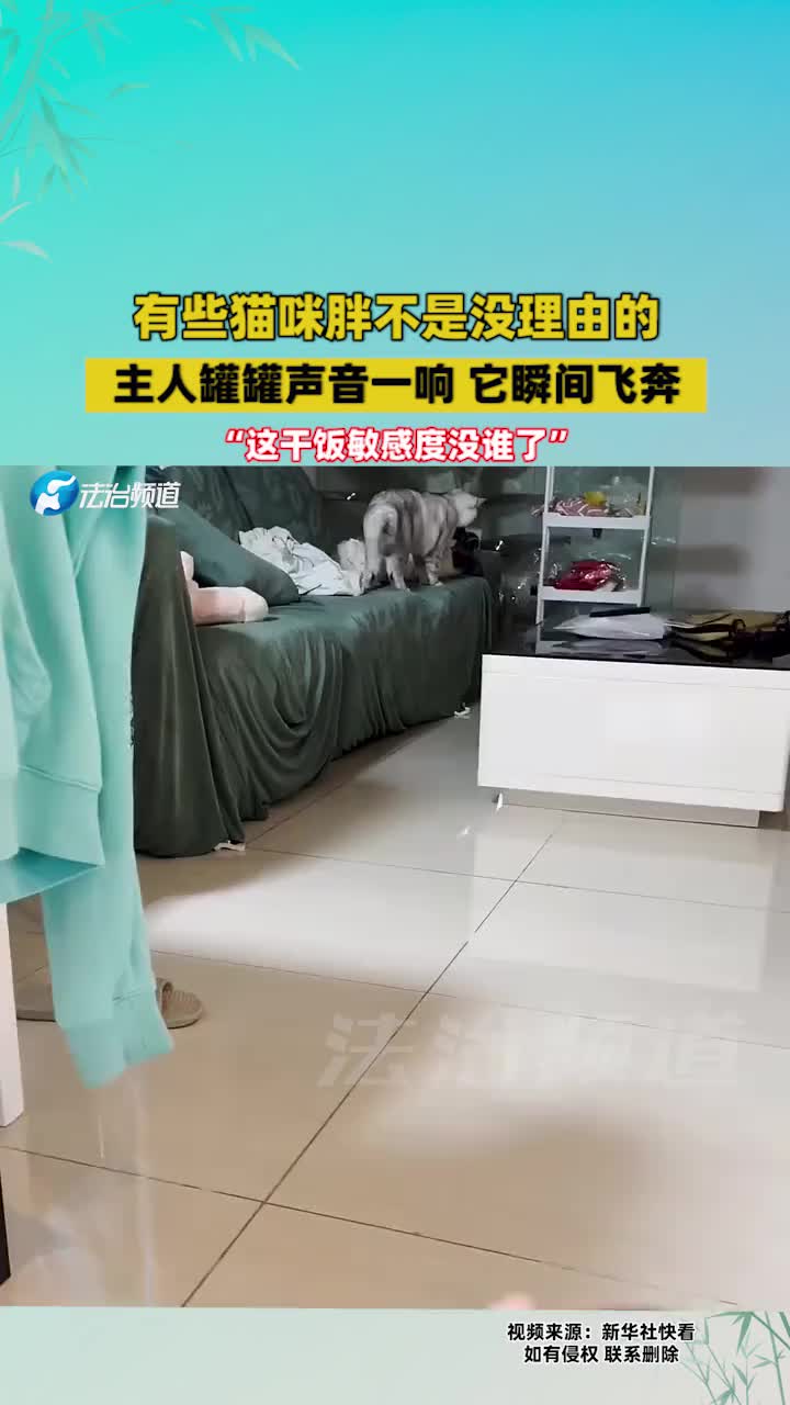 这干饭敏感度没谁了！
