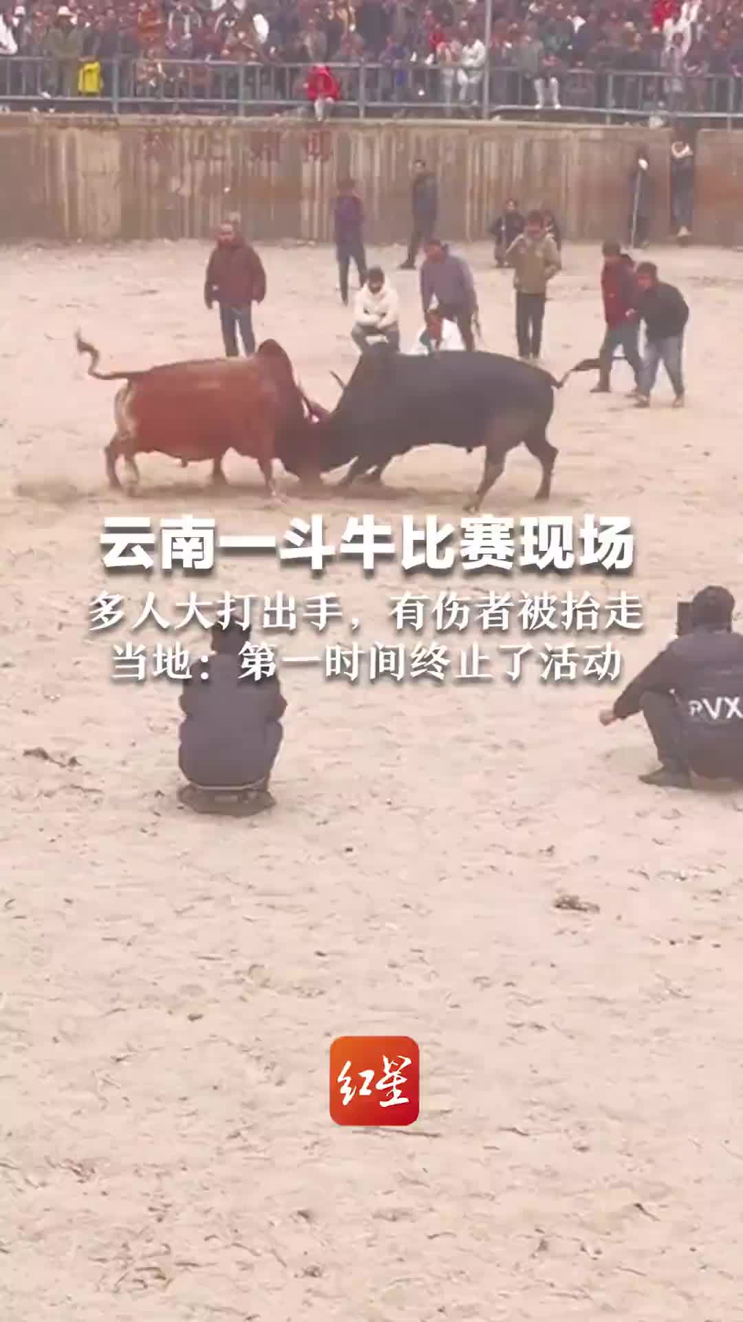 斗牛比赛，牛没急眼，人急眼了