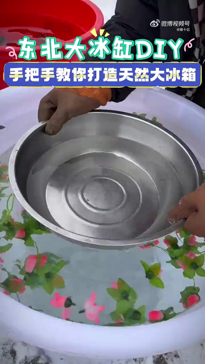 东北绝美大冰缸，教你DIY储存一冬美食