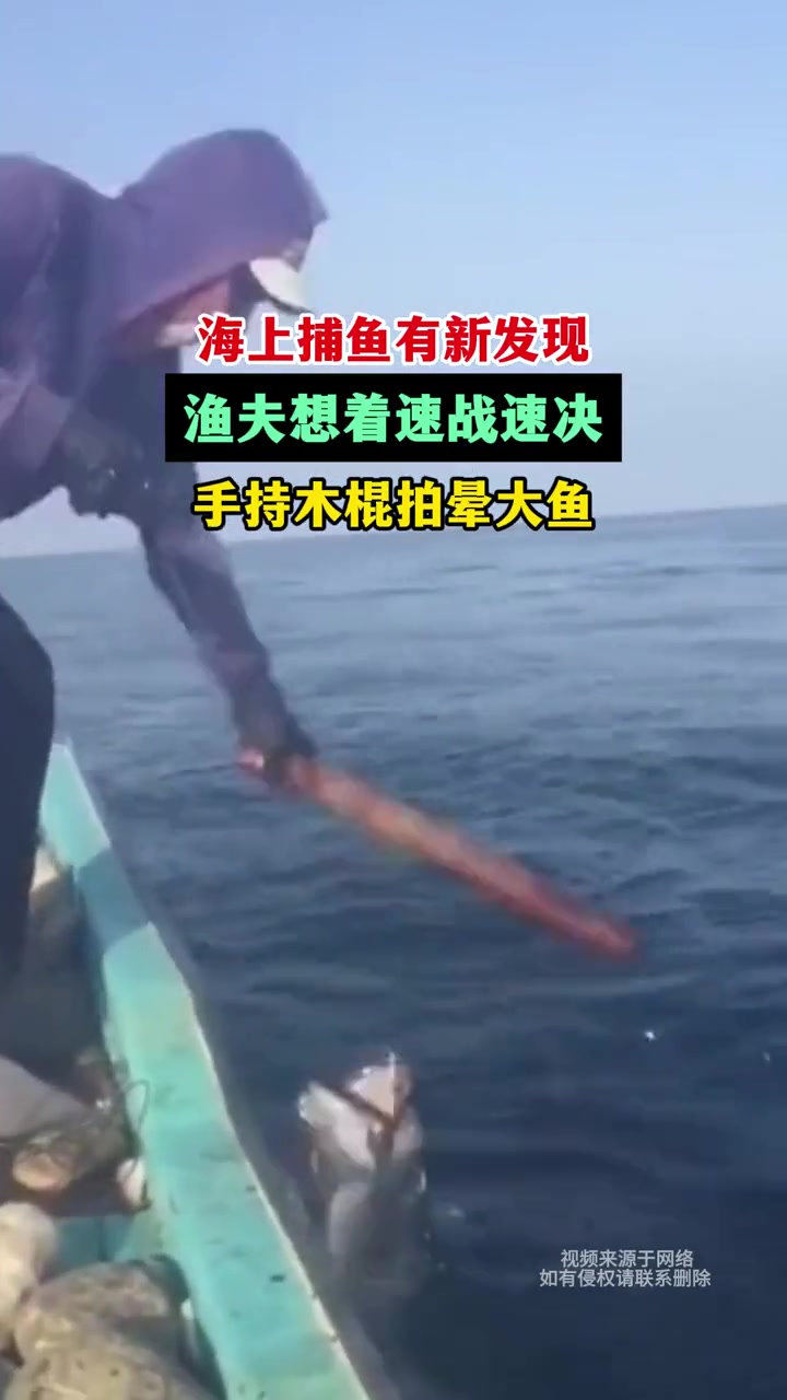 海上捕鱼有新发现，渔夫想着速战速决，手持木棍拍晕大鱼！