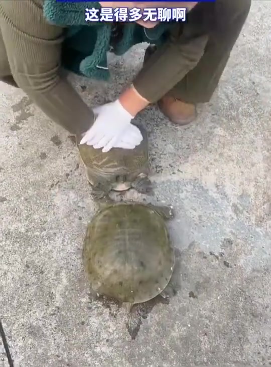 这是得多无聊啊