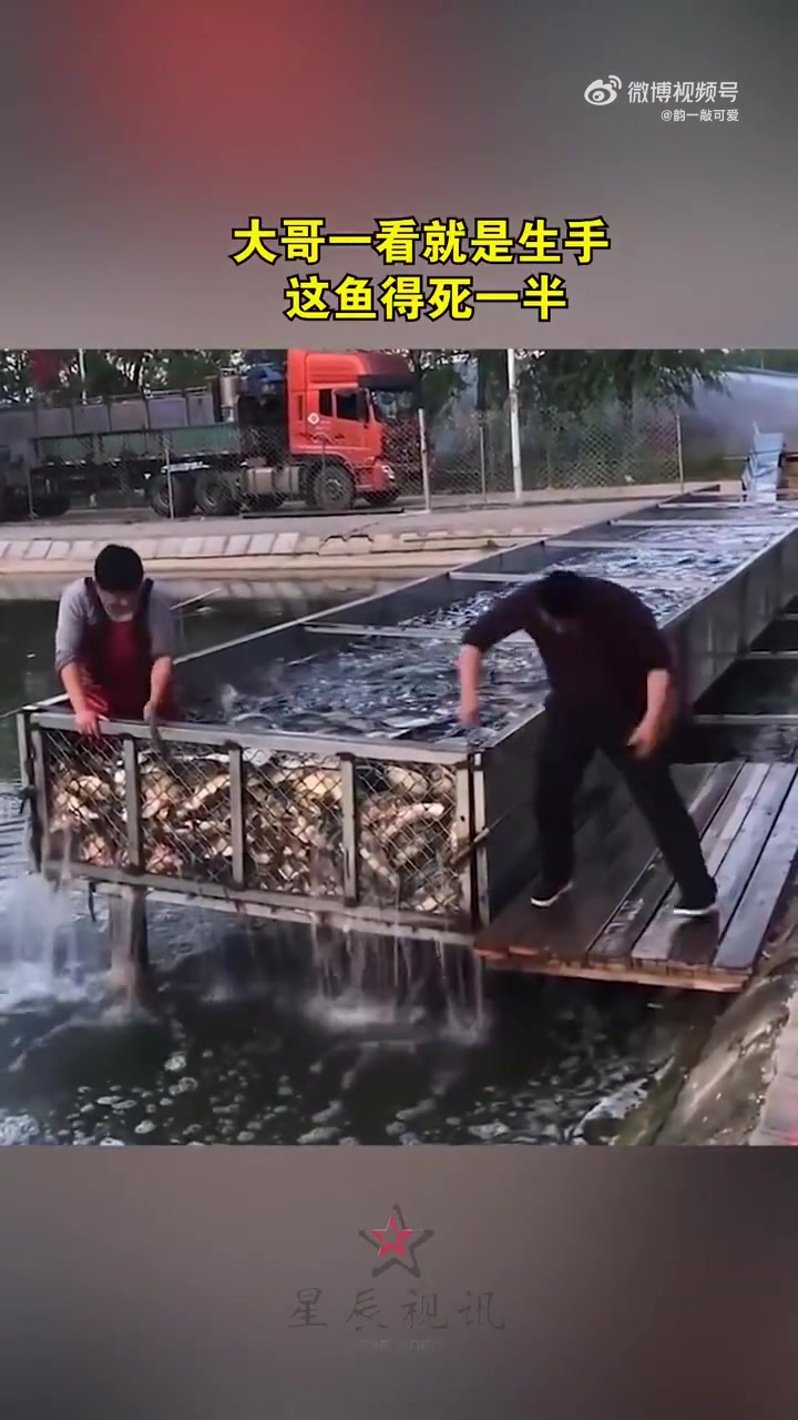 大哥一看就是生手，这鱼得死一半！