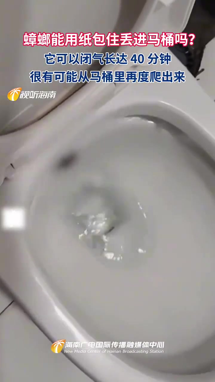 蟑螂用纸包丢马桶它能闭气40分钟，可能再从马桶爬出