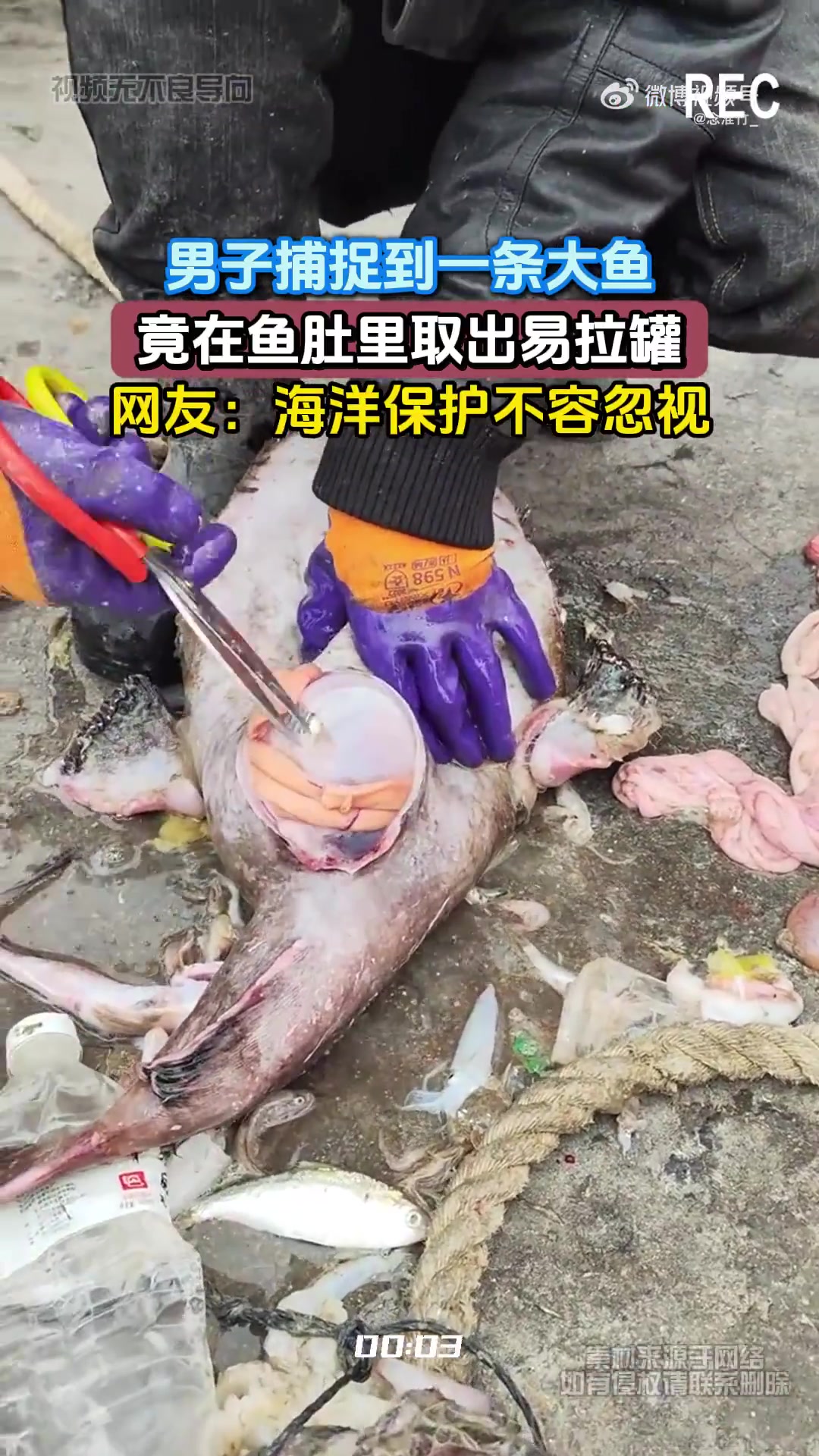 男子捕大鱼，鱼肚有易拉罐，网友：海洋保护很重要