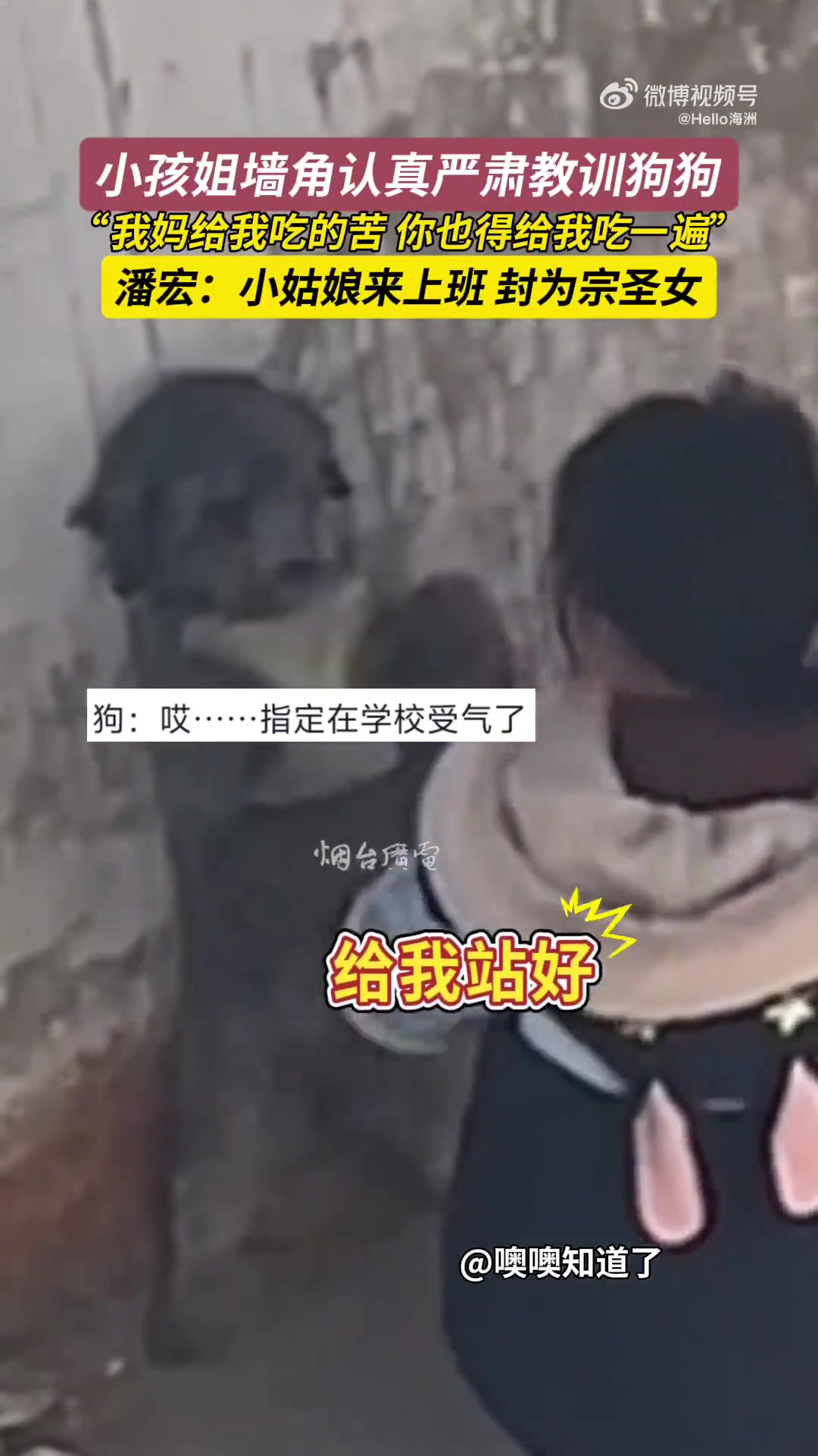小孩姐墙角认真严肃教训狗狗