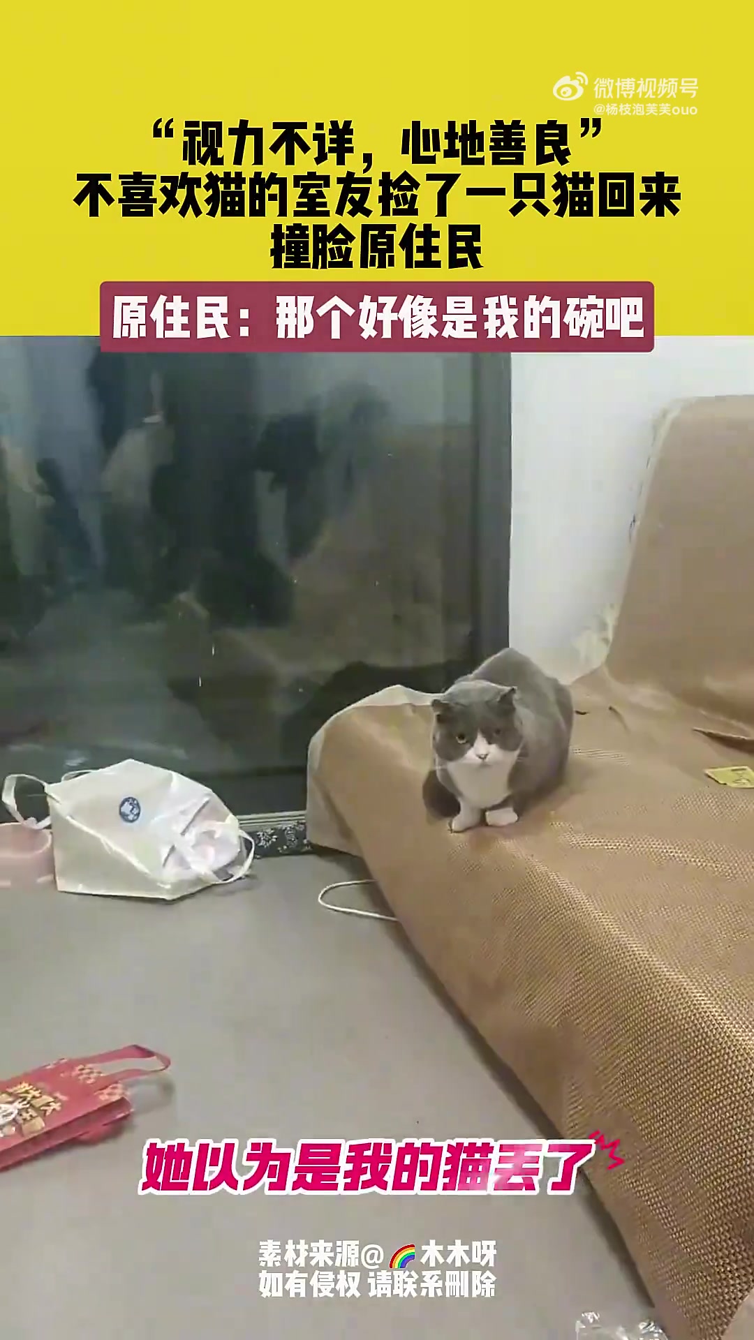 哪个才是真正的我，我自己也不明白！