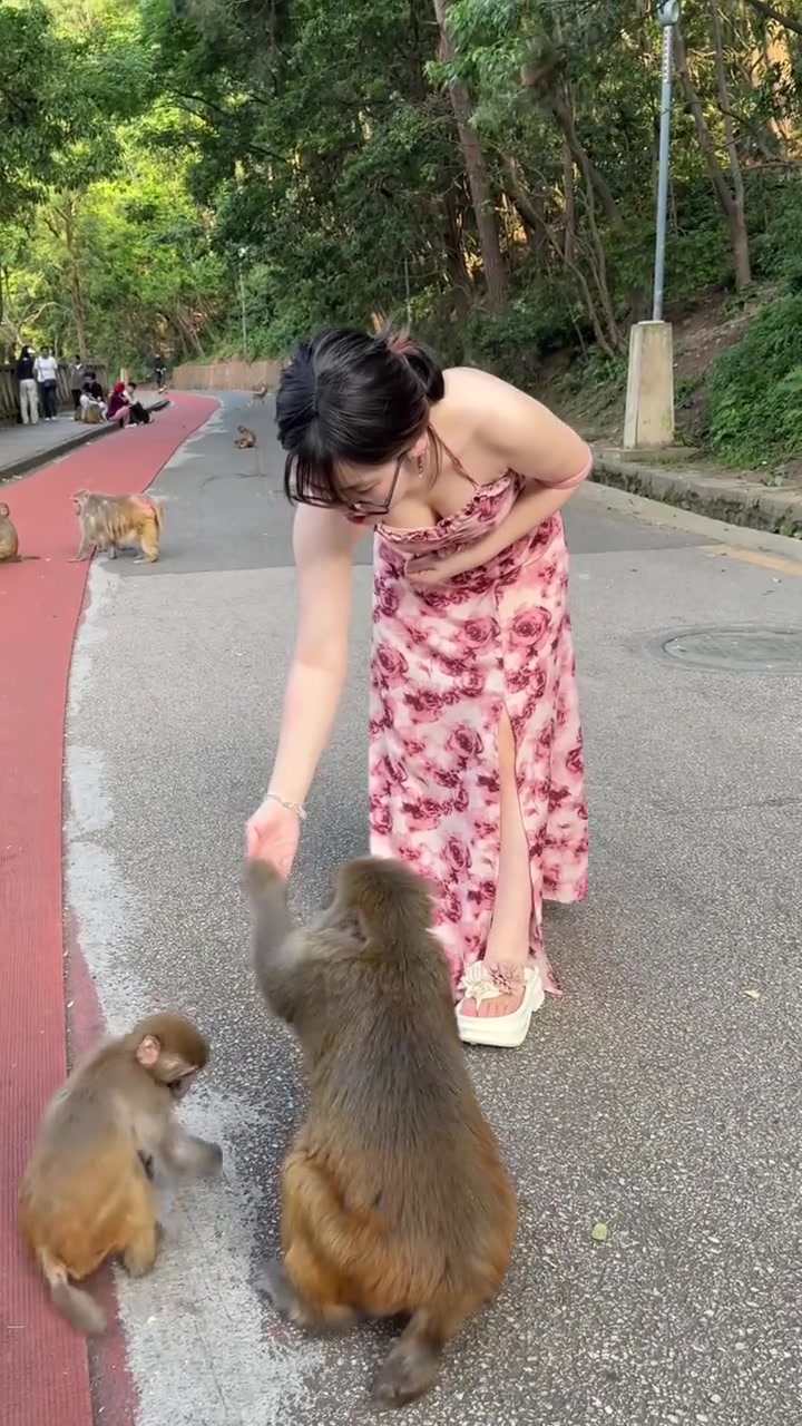 为啥我看个小姐姐喂猴会不眨眼啊