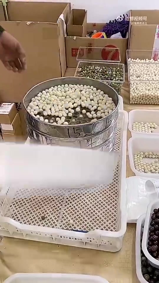 聪明的人类！
