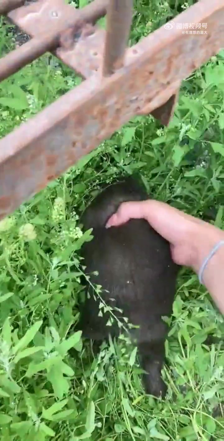 小时候可爱死你，长大了一掌拍死你