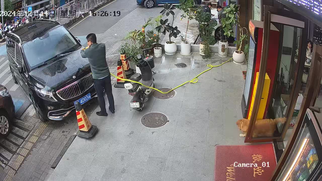 这是不是狗咬耗子多管闲事，把猫的活全干了啊！