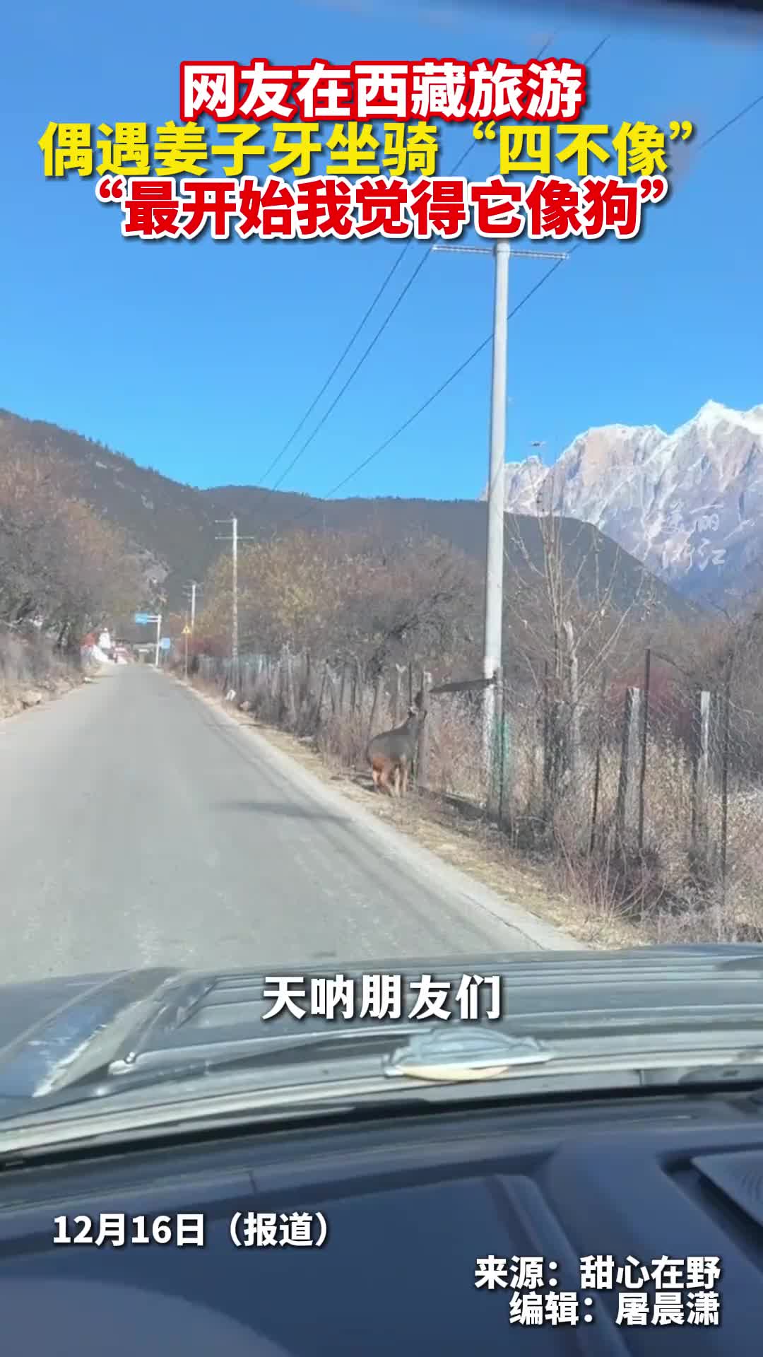 这个真的是第一次见啊，长见识了！